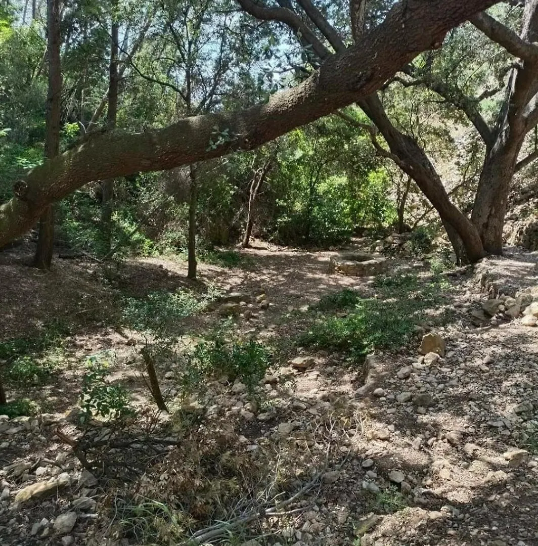 Studio בנדול 0*,