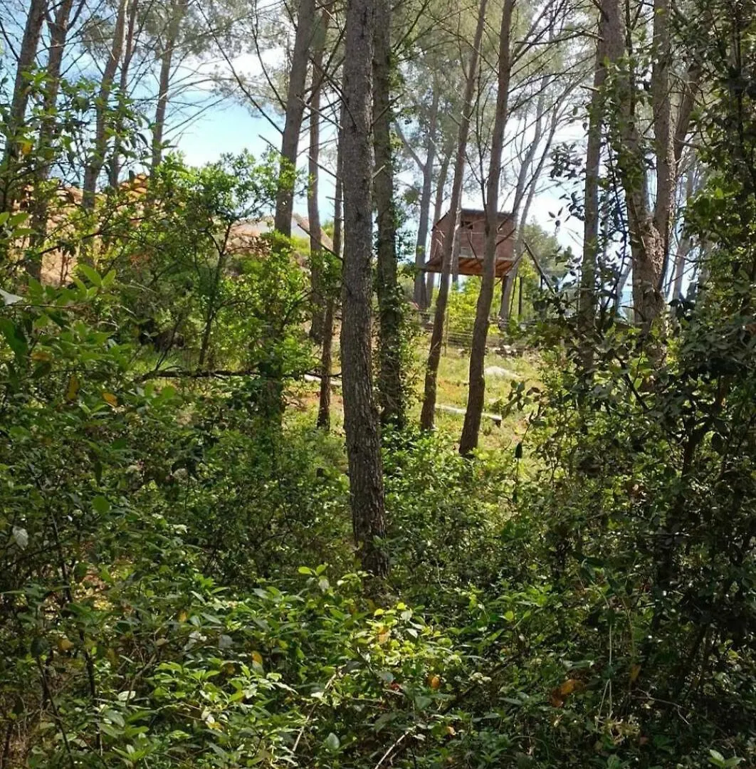 דירה Studio בנדול