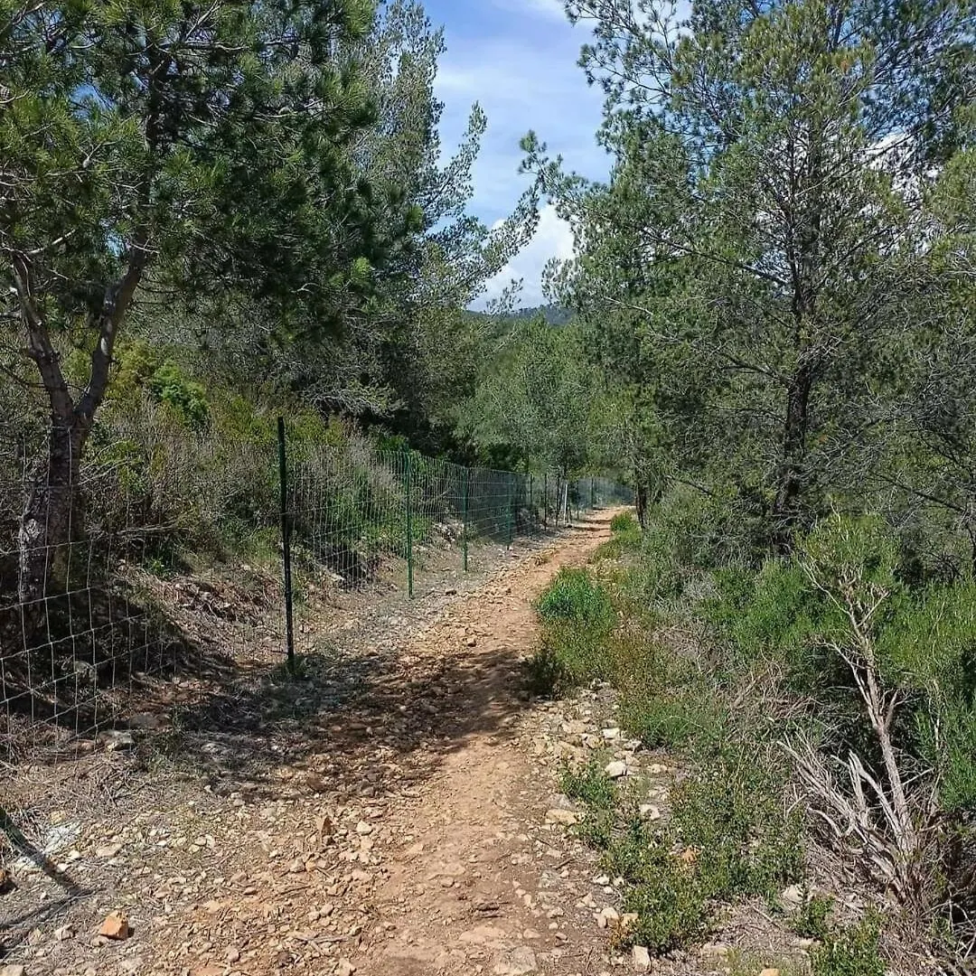 Studio בנדול 0*,  צרפת