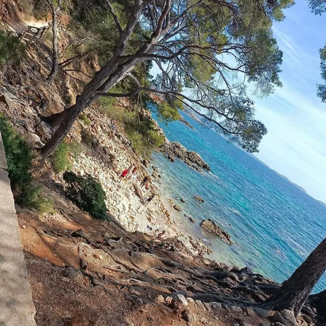 Studio Bandol Apartment