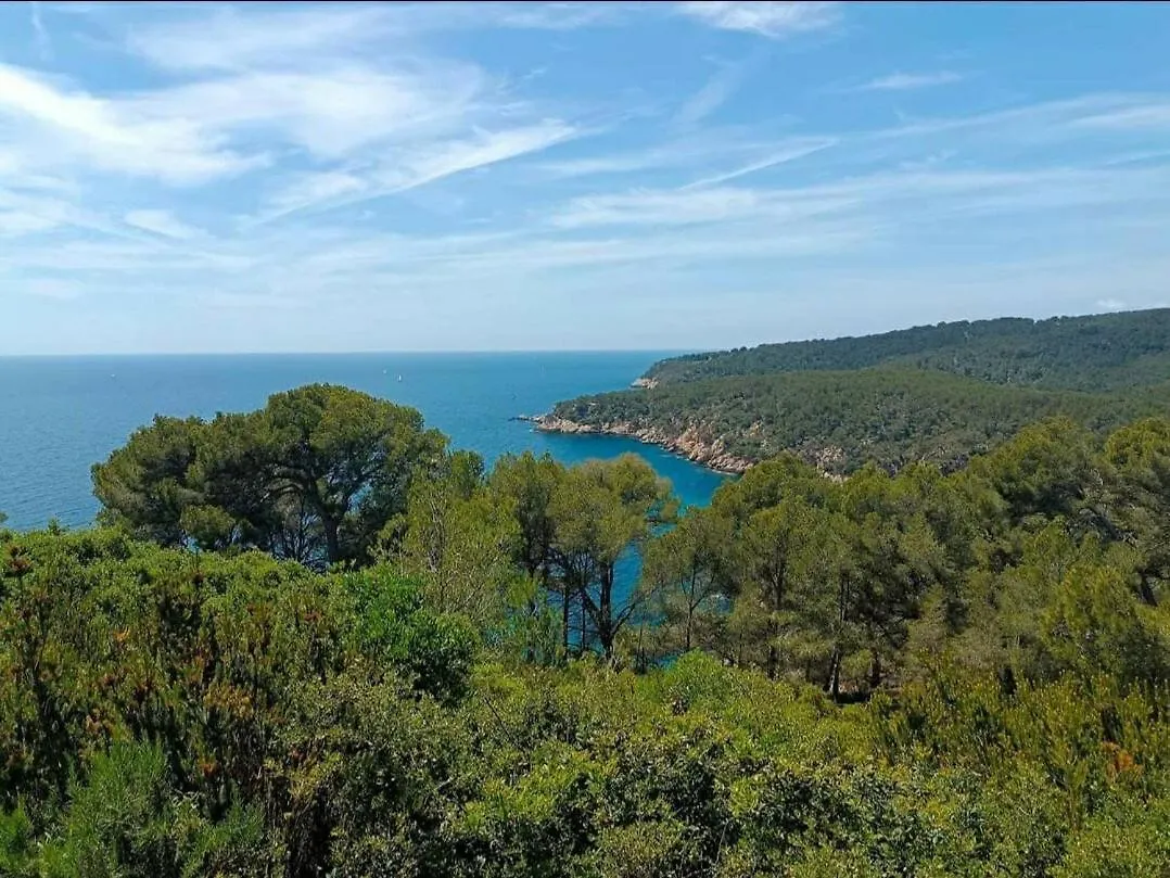 Studio Bandol Francia